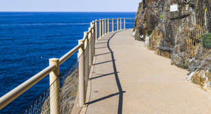 img_6102.jpeg img_6102.jpeg