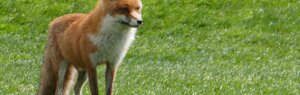 pinetina%202026%2018.jpeg