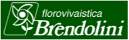 brendolini-logo