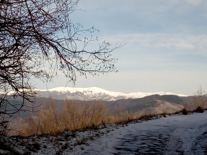 img_20171230_123256.jpeg img_20171230_123256.jpeg