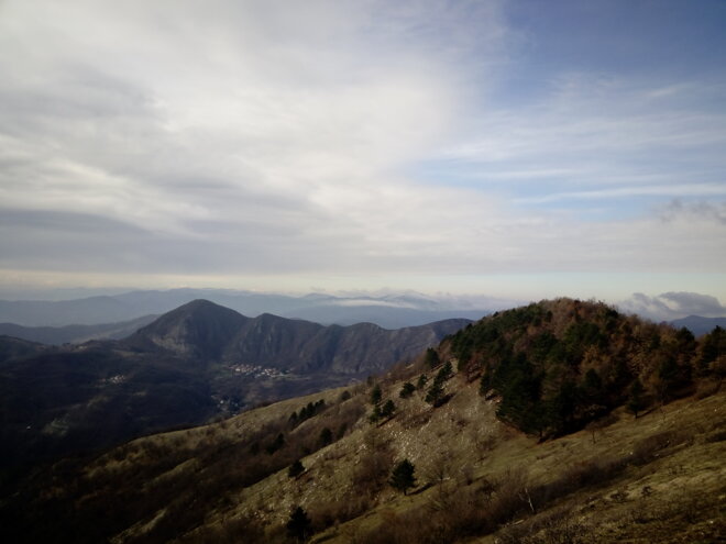 img_20180203_113555.jpeg img_20180203_113555.jpeg