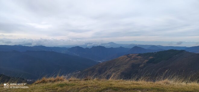 img_20240101_133528.jpeg img_20240101_133528.jpeg