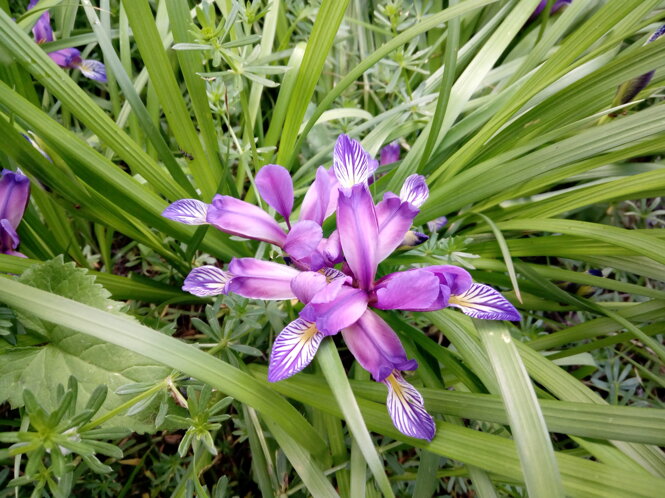 img_20180526_185648.jpeg img_20180526_185648.jpeg