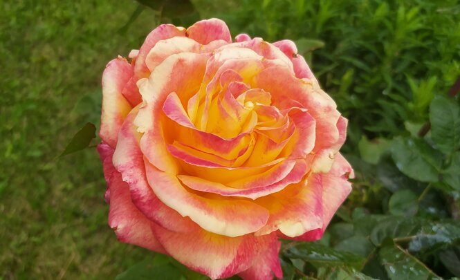 img_20240614_141916.jpeg img_20240614_141916.jpeg