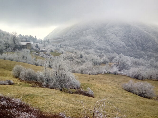 img_20190120_145733.jpeg img_20190120_145733.jpeg