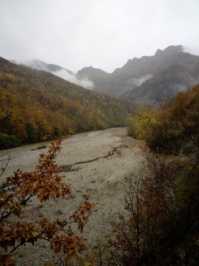 img_20171105_104234.jpeg img_20171105_104234.jpeg