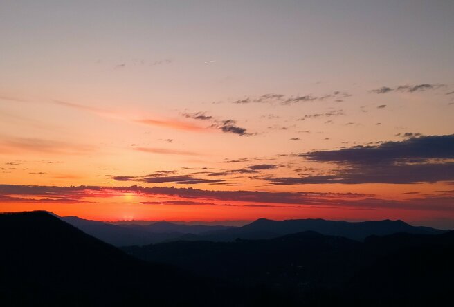 img_20230408_200016.jpeg img_20230408_200016.jpeg