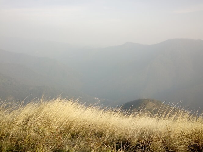 img_20181019_171131.jpeg img_20181019_171131.jpeg