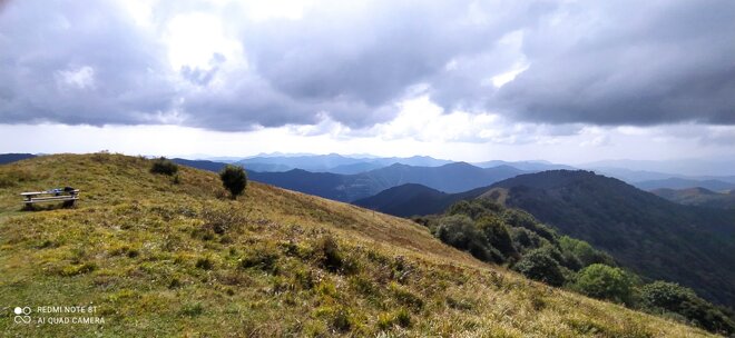 img_20240922_133509.jpeg img_20240922_133509.jpeg