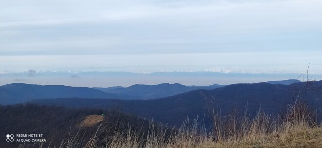 img_20240101_133829.jpeg img_20240101_133829.jpeg