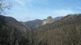 img-20170319-wa0001.jpeg img-20170319-wa0001.jpeg