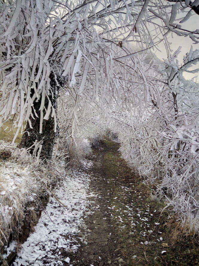 img_20190120_161242.jpeg img_20190120_161242.jpeg