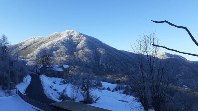 img-20210116-wa0001.jpeg img-20210116-wa0001.jpeg