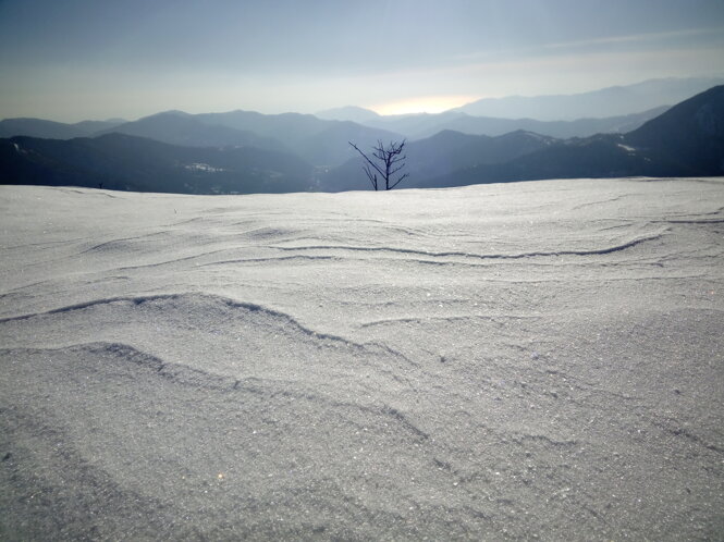 img_20180214_152444.jpeg img_20180214_152444.jpeg