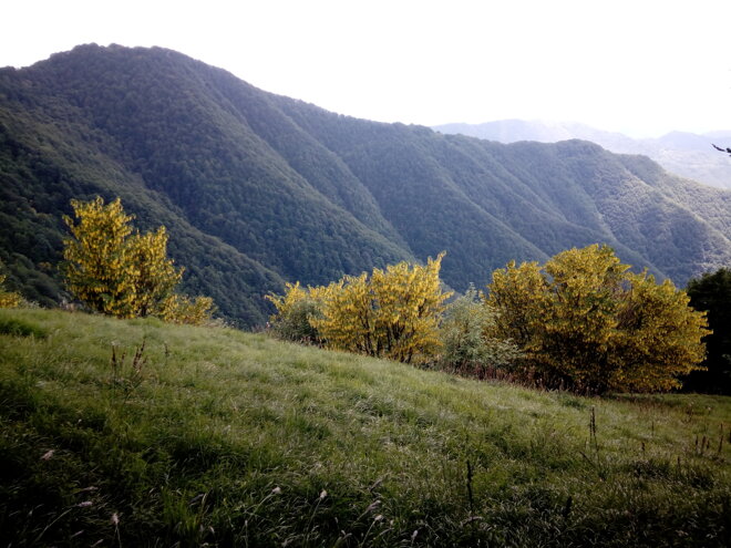 img_20180616_145649.jpeg img_20180616_145649.jpeg