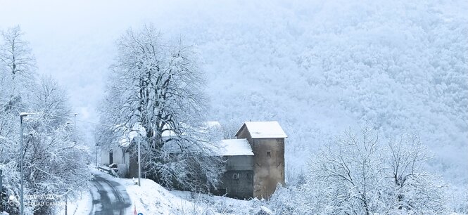 img_20240306_073118.jpeg img_20240306_073118.jpeg