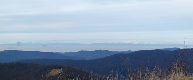 img_20240101_133829.jpeg img_20240101_133829.jpeg