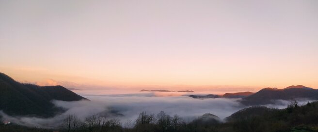 img_20221223_082046.jpeg img_20221223_082046.jpeg