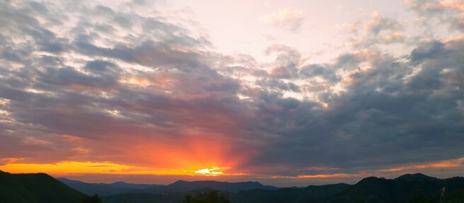 img_20240518_203955.jpeg img_20240518_203955.jpeg