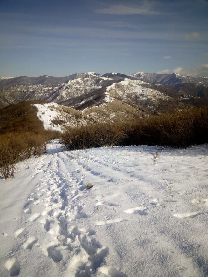 img_20180211_135845.jpeg img_20180211_135845.jpeg