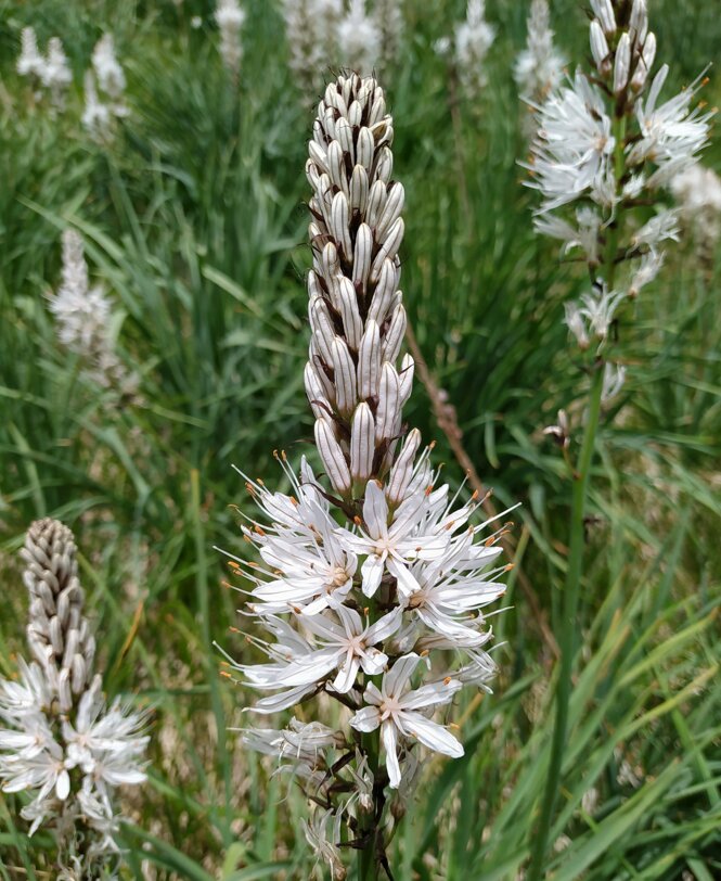 2022-05-22t12_03_48+02_00.jpeg 2022-05-22t12_03_48+02_00.jpeg