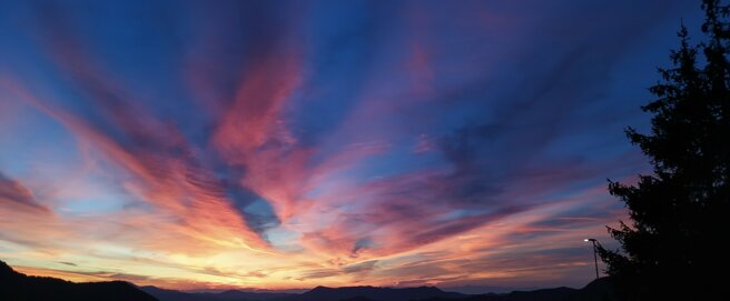 img_20230903_201230.jpeg img_20230903_201230.jpeg