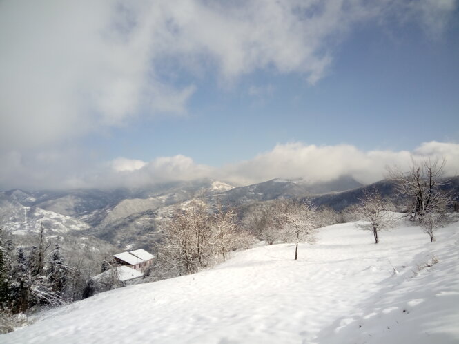 img_20180214_103822.jpeg img_20180214_103822.jpeg