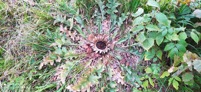 img_20240922_144542.jpeg img_20240922_144542.jpeg