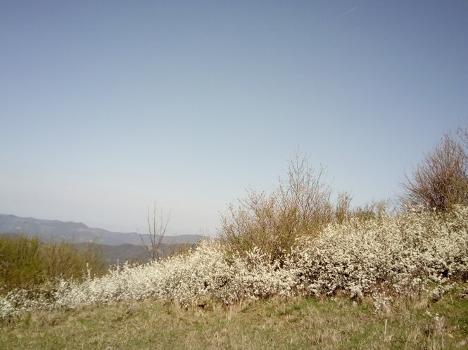 img_20180422_114309.jpeg img_20180422_114309.jpeg