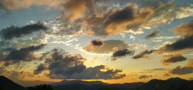 img_20240615_205019.jpeg img_20240615_205019.jpeg