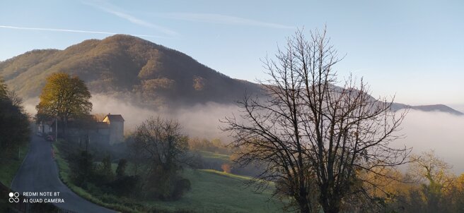 img_20241116_100451.jpeg img_20241116_100451.jpeg