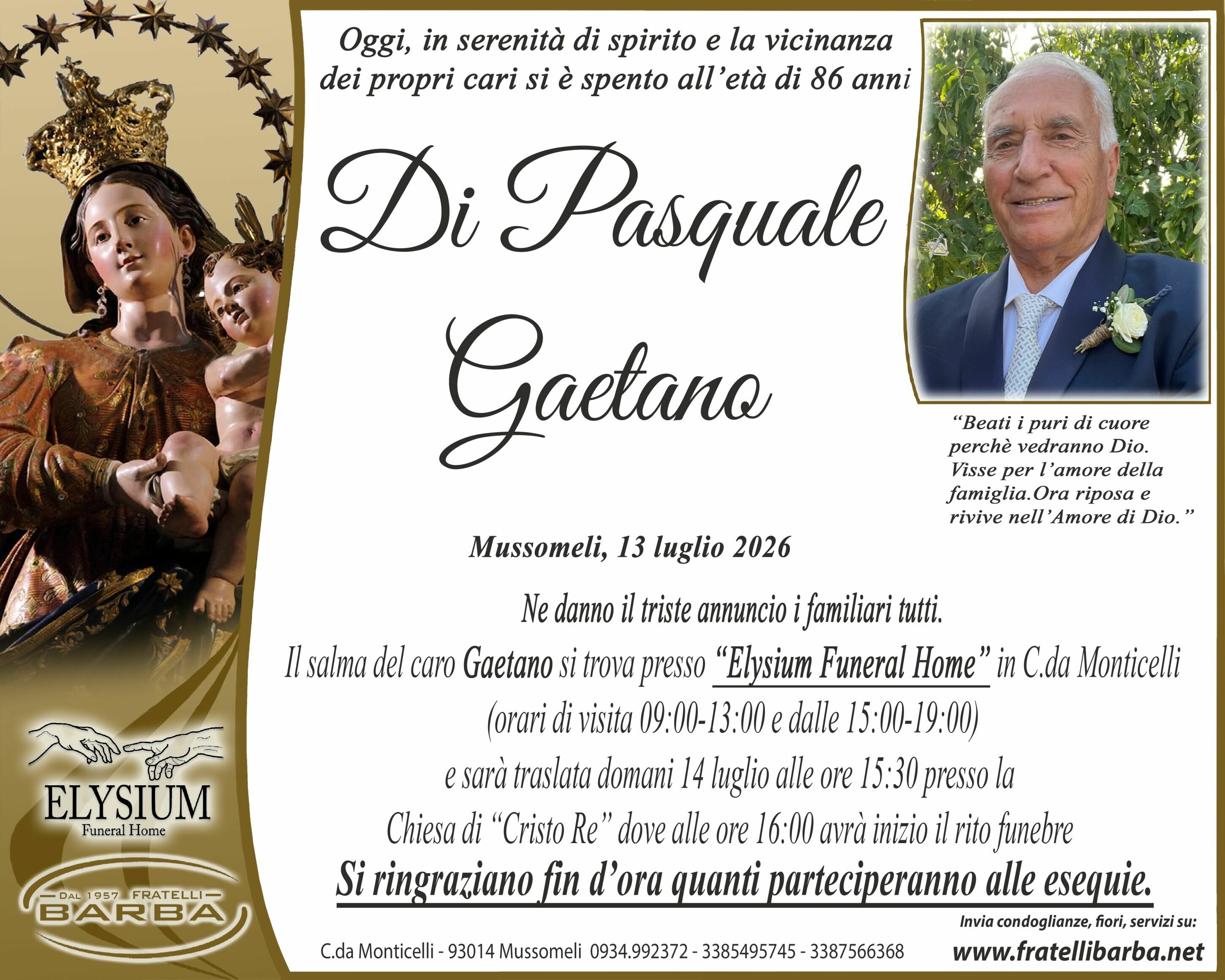 nuovo-manifesto-2025-elysium.jpeg nuovo-manifesto-2025-elysium.jpeg