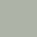 agave.jpeg