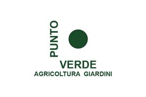 punto-verde