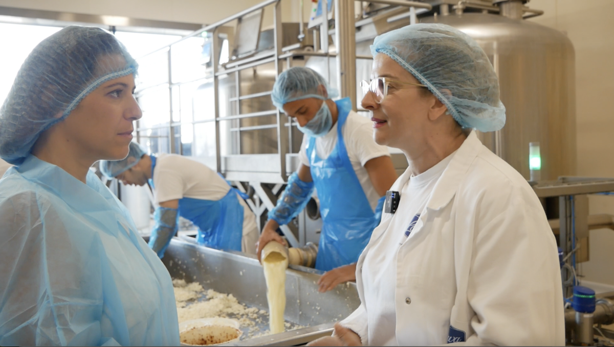 Tecnologia e tradizione nel laboratorio caseario di Randazzo
