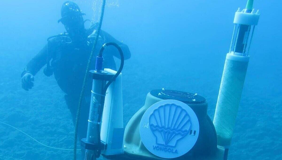 Dal suono al DNA: cos&igrave; &ldquo;Vongola&rdquo; usa la tecnologia per custodire la biodiversit&agrave; del Mediterraneo
