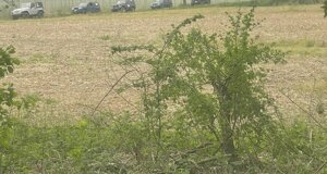 whatsapp%20image%202026-04-12%20at%2018.35.52%20(1).jpeg