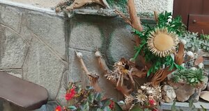 whatsapp%20image%202026-04-21%20at%2015.09.22%20(5).jpeg
