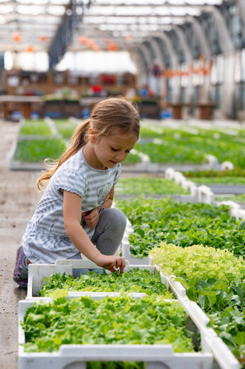 dsc_4360.jpeg dsc_4360.jpeg