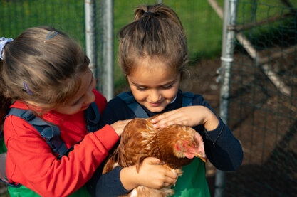 dsc_4503.jpeg dsc_4503.jpeg