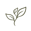 icona_botanica_minimalista_a_tre_foglie