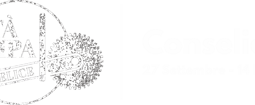 luigi iorio logo 2025 simbolo.bianco