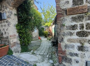 302a0663-2e28-40f1-9ac6-66021446a251.jpeg