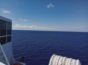6f06a40a-bc2d-4d0e-b104-313b2cb23d1a.jpeg