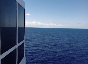 2c71ae17-9d8b-4669-a223-bf125fd9c103.jpeg