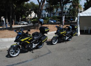 img_0615.jpeg