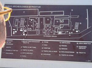 img_0488.jpeg