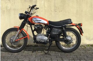 moto%20topino.jpeg