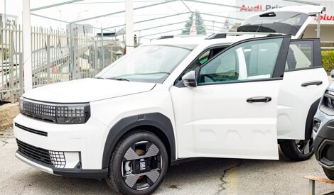 Grande Panda di colore bianco