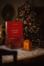 rubino-panettone-artigianale-lucano-con-cioccolato-e-peperone-crusco